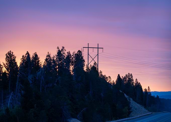 Silhouetted Trees at Sunset