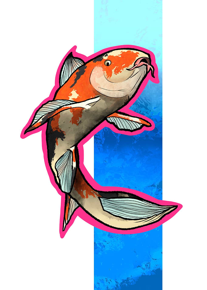 Koi Fish Illustration