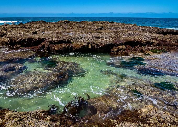 Ocean Tide Pool