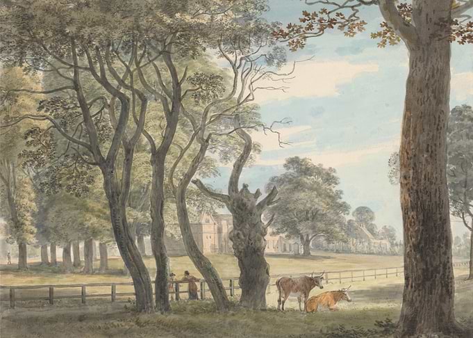 Countryside Landscape with Cows