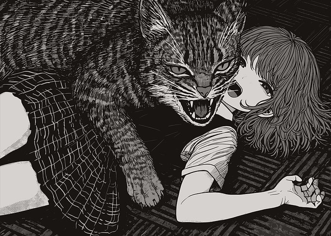 Cat Attacking Girl