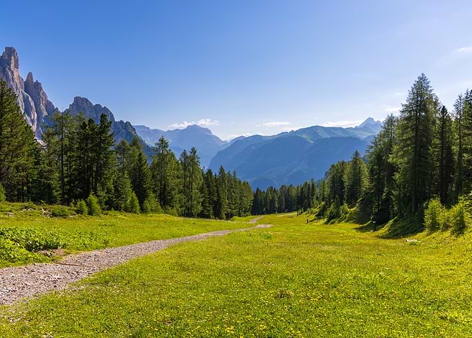 Mountain Meadow Path - Val di Fassa - Dolomites - Italy