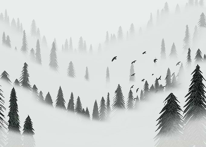 Misty Forest Landscape