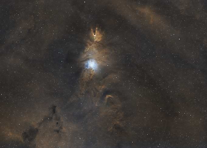 Christmas Tree Nebula