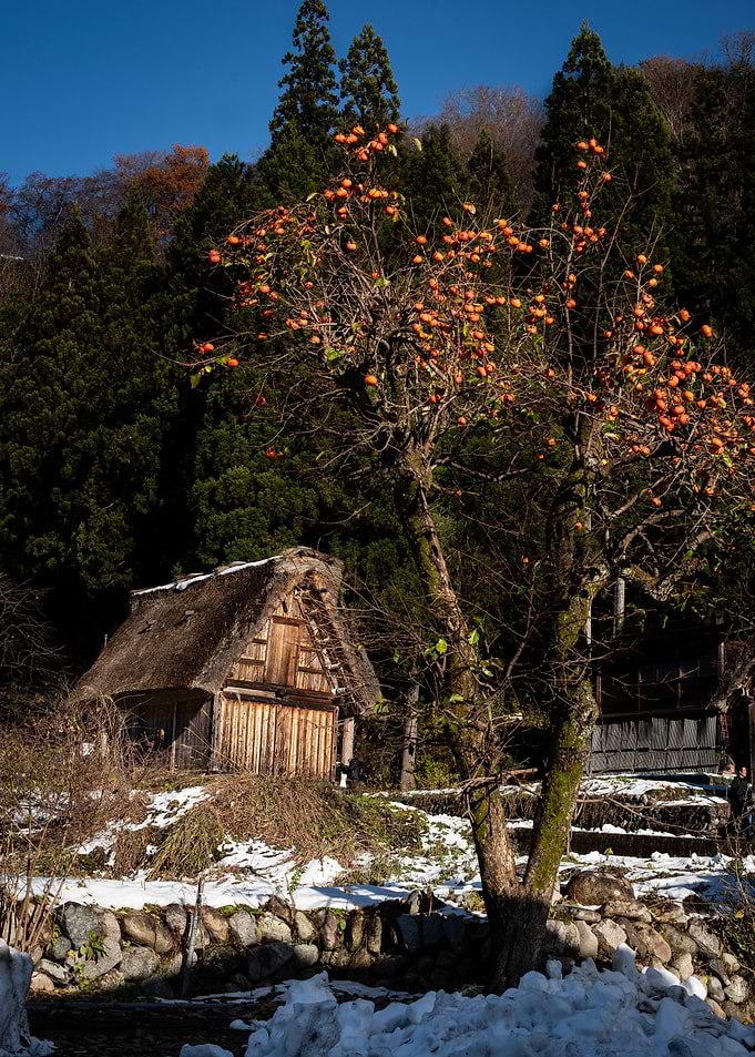 Japanese Village Winter Scene