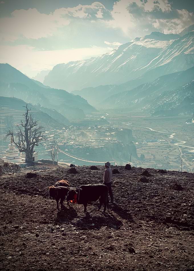 Mountain Village Landscape