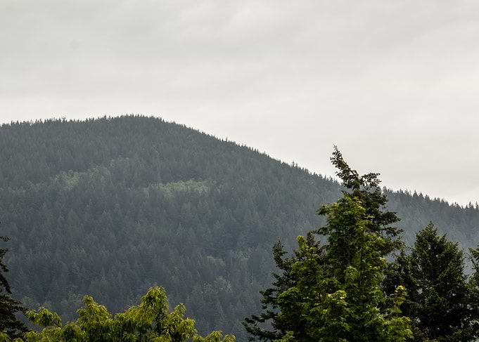 Green Mountain Landscape