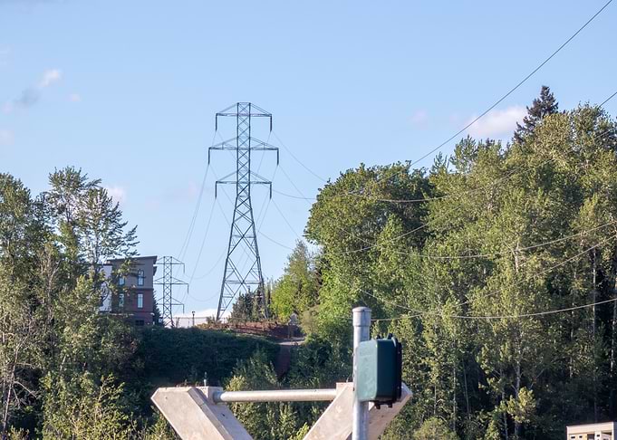 Power Lines and Trees