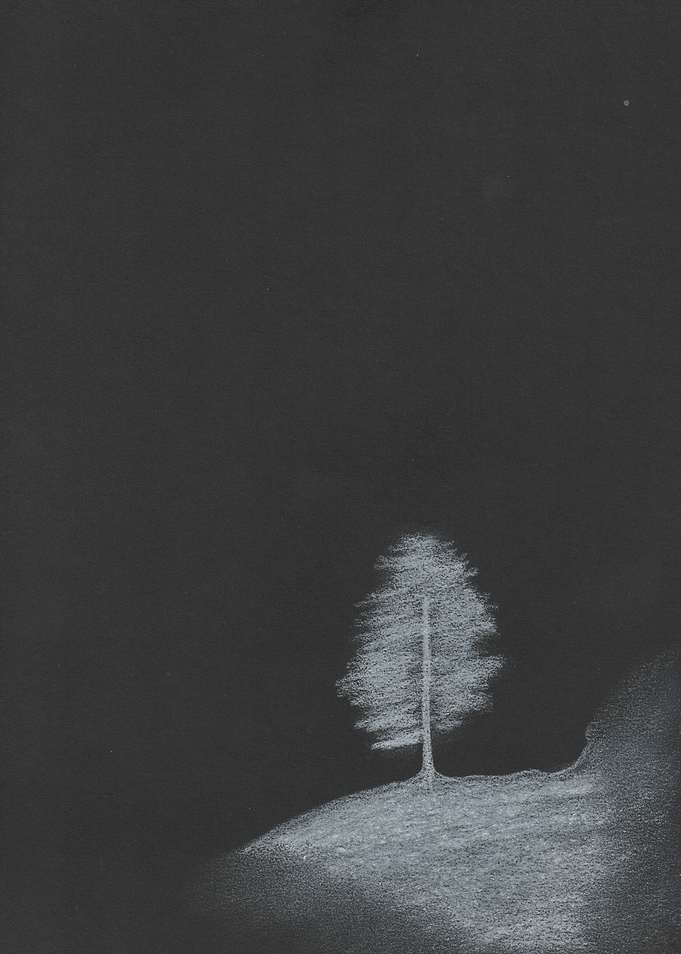 Lone Tree on Black