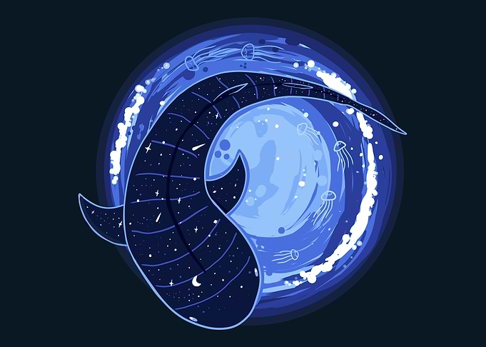 Night Sky Whale Shark