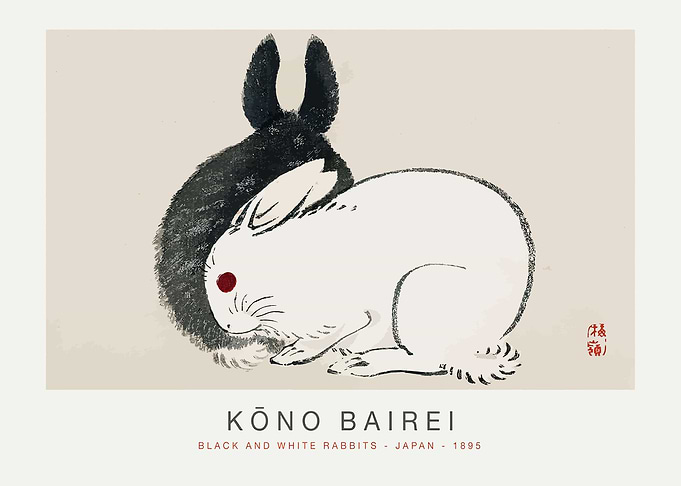 Black and White Rabbits