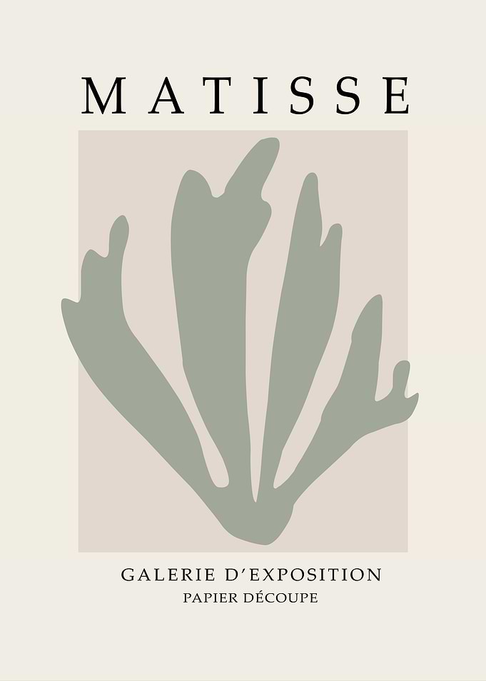 Matisse Paper Cutout Art