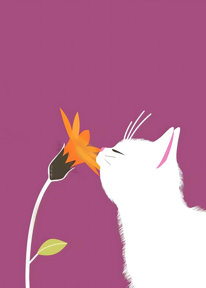 Cat Sniffing Flower