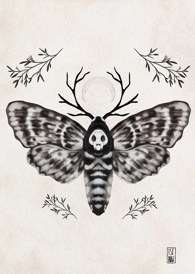 Moth with Skull and Antlers