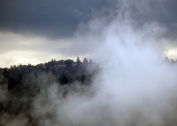 Misty Forest Landscape