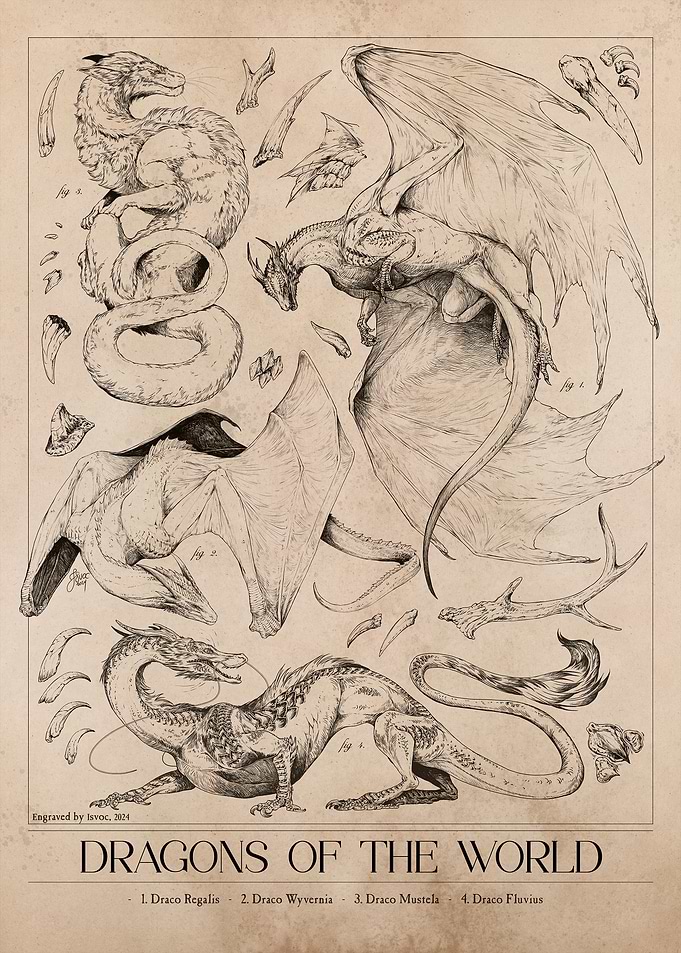 Dragons of the World