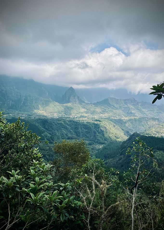 King Kong vibes in Cilaos, Reunion Island