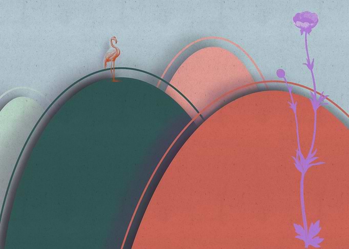Flamingo on the Hills