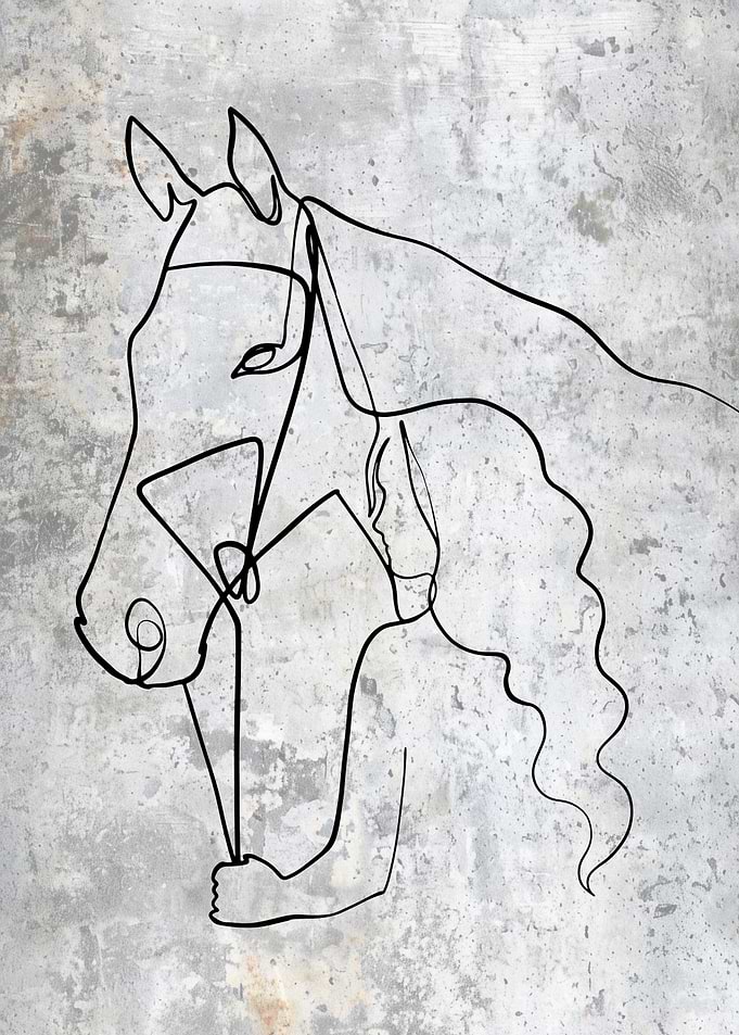 Horse Owner Line Art