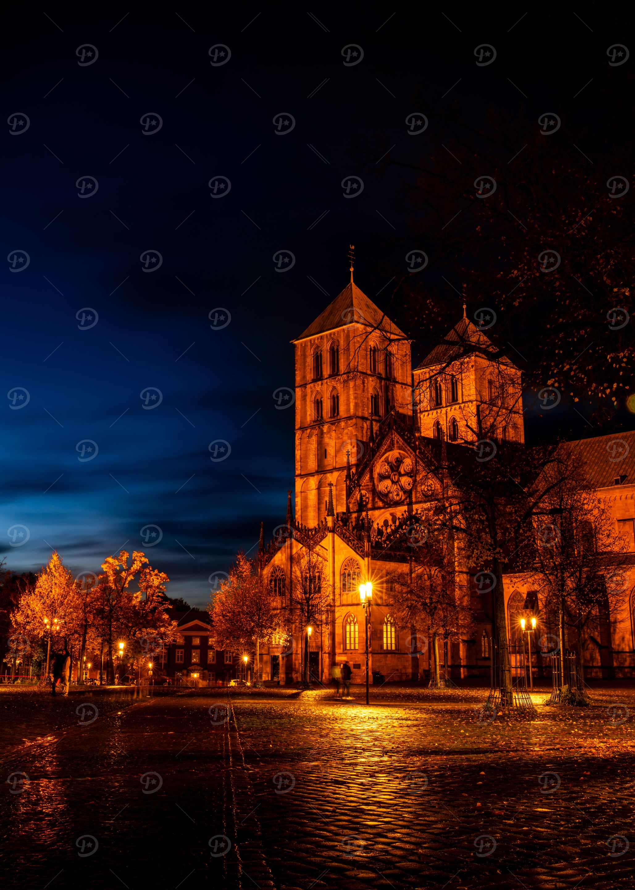 Domplatz in Münster bei Nacht