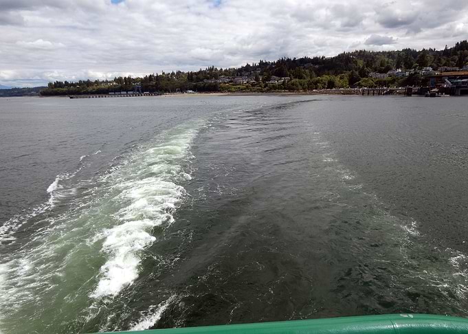 Wake in the Water