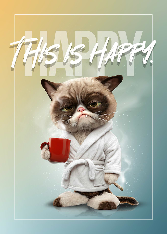 Grumpy Cat This Is Happy
