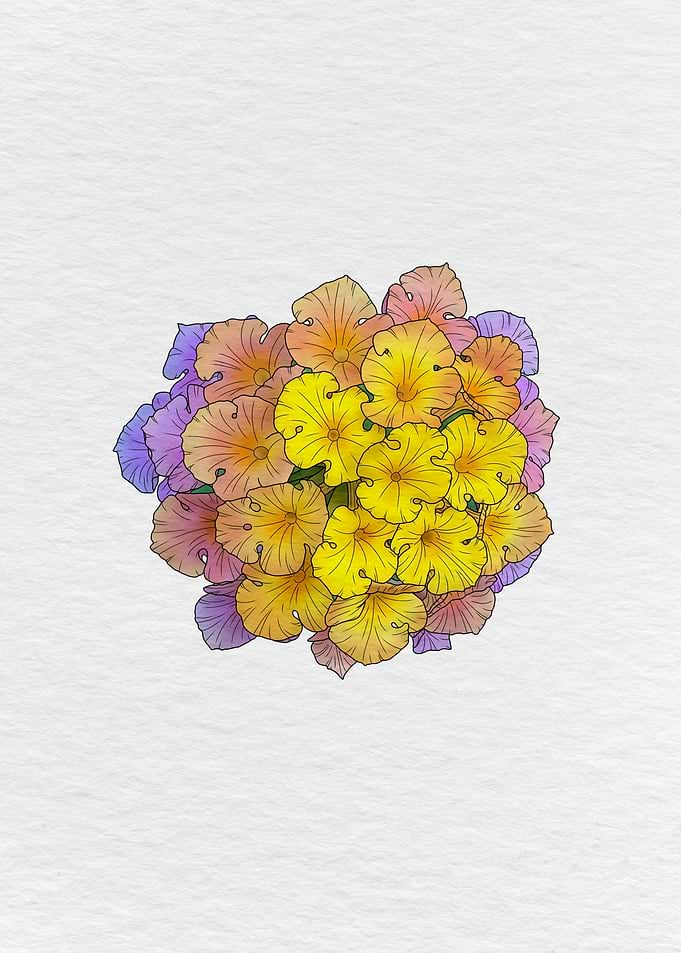 Oh My Lantana
