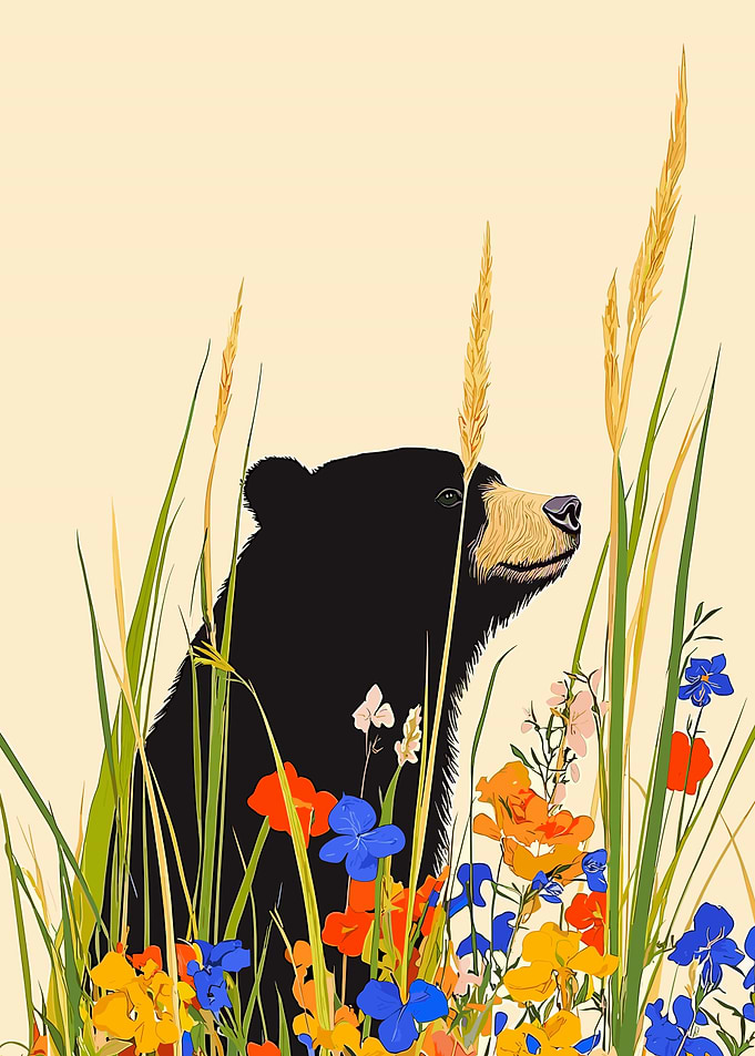 Black Bear in Wildflowers