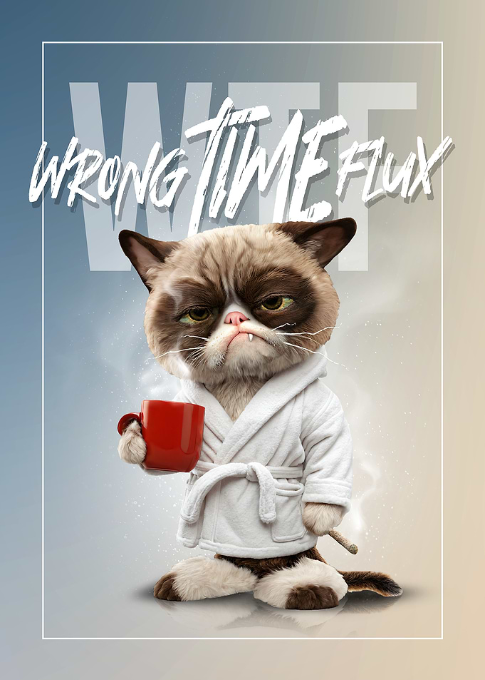 Grumpy Cat Wrong Time Flux WTF