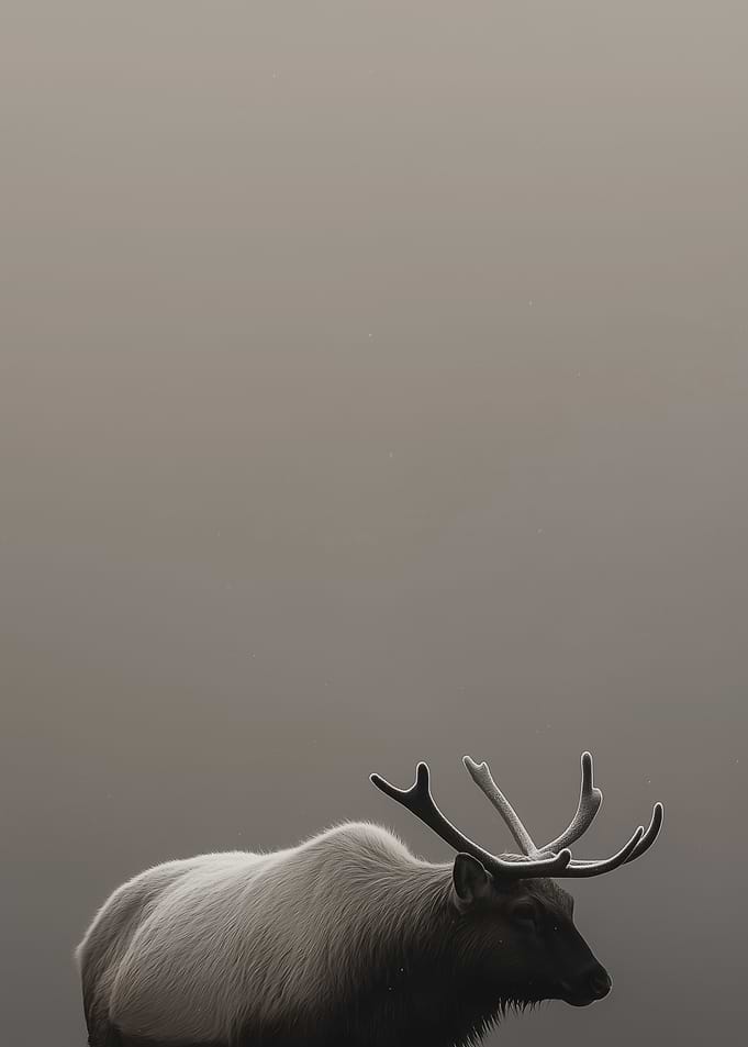 Elk in Fog
