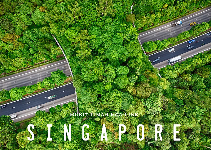 Singapore Highway Aerial