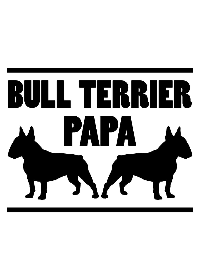 Bull Terrier Papa