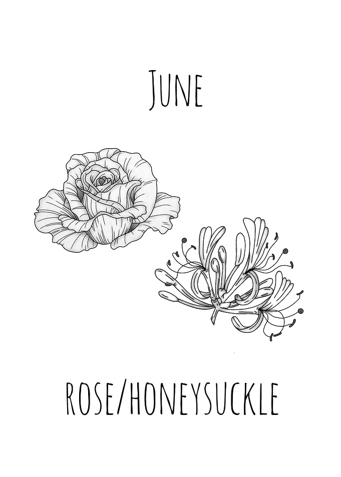 June Birth Flower