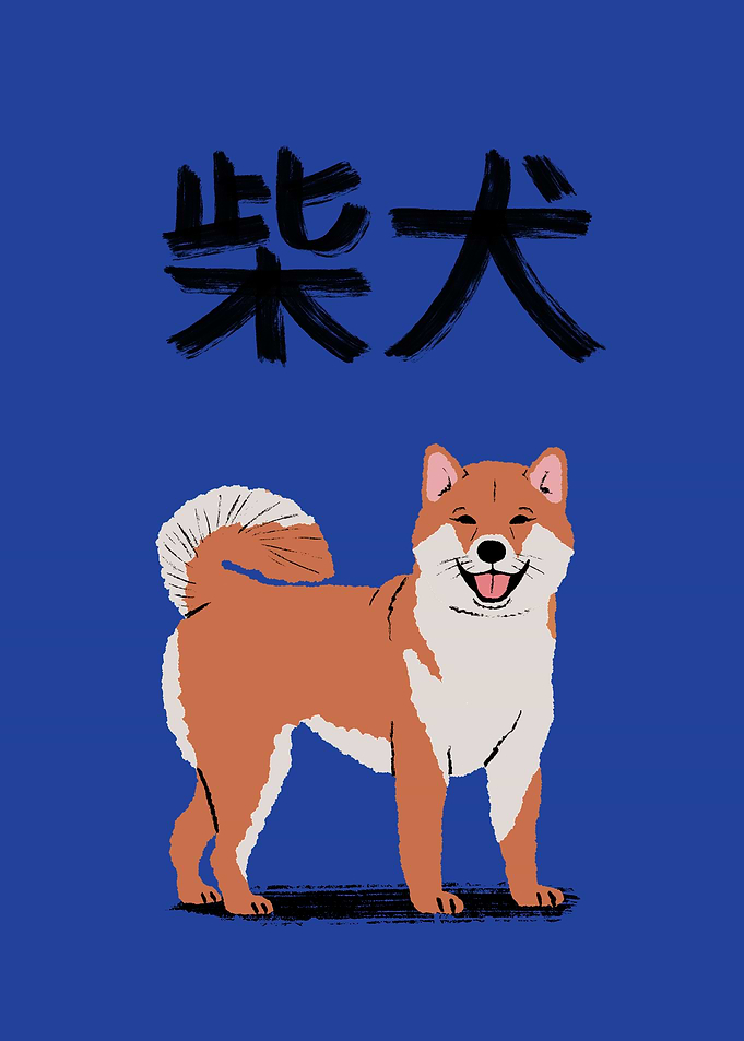 Shiba Inu