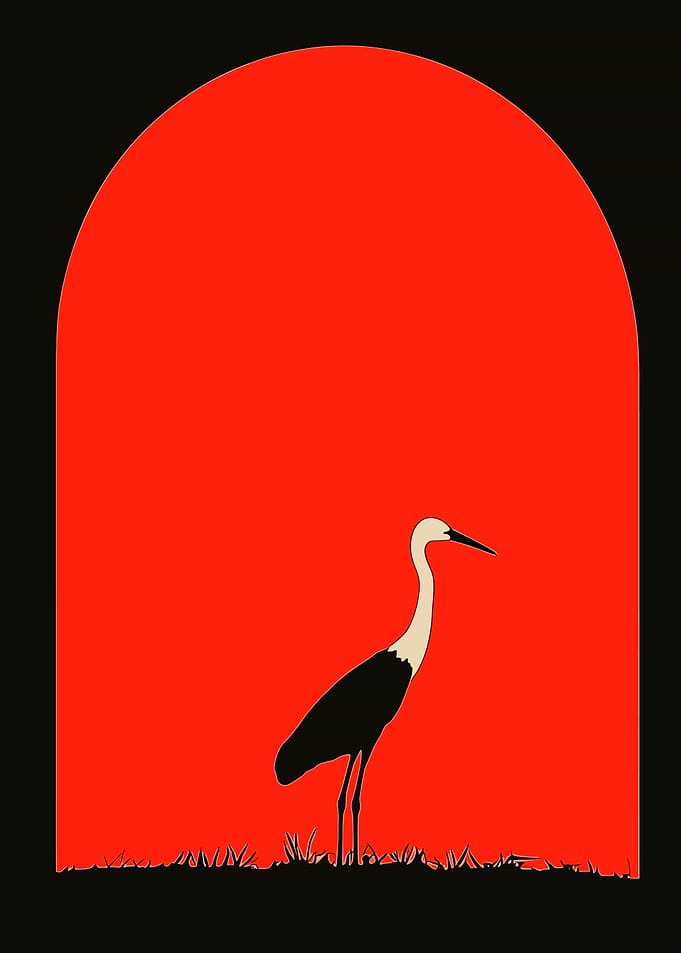 Silhouette of a Crane