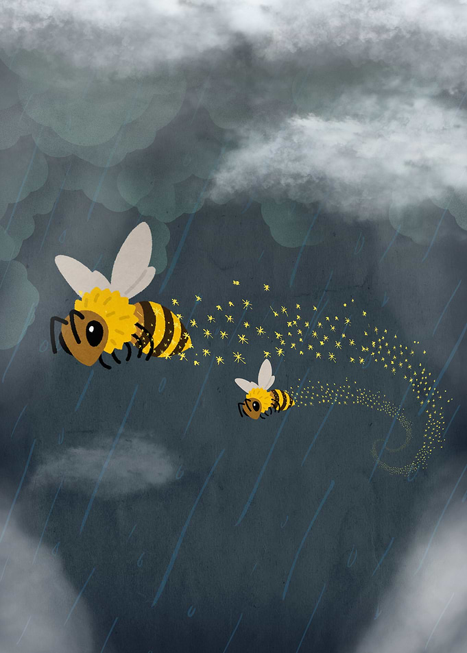 Nature of a Bee