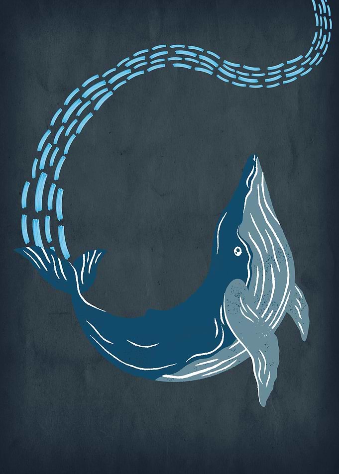 Trailing Whale