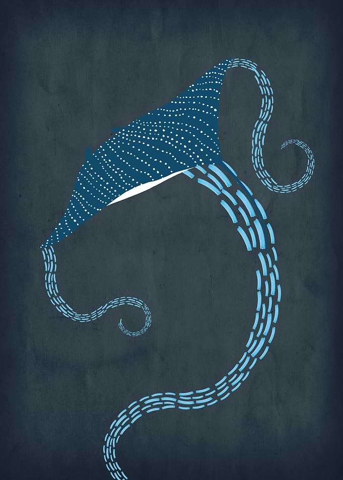Blue Stream of Manta