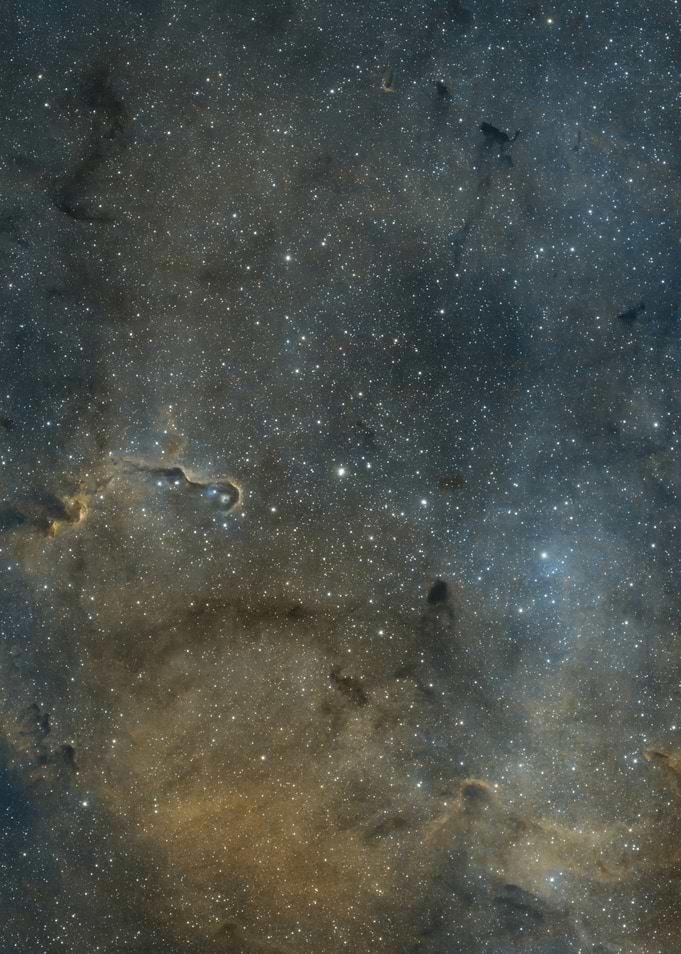ELEPHANT TRUNK NEBULA