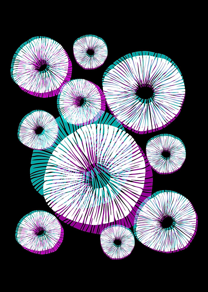 Mushroom Diversity