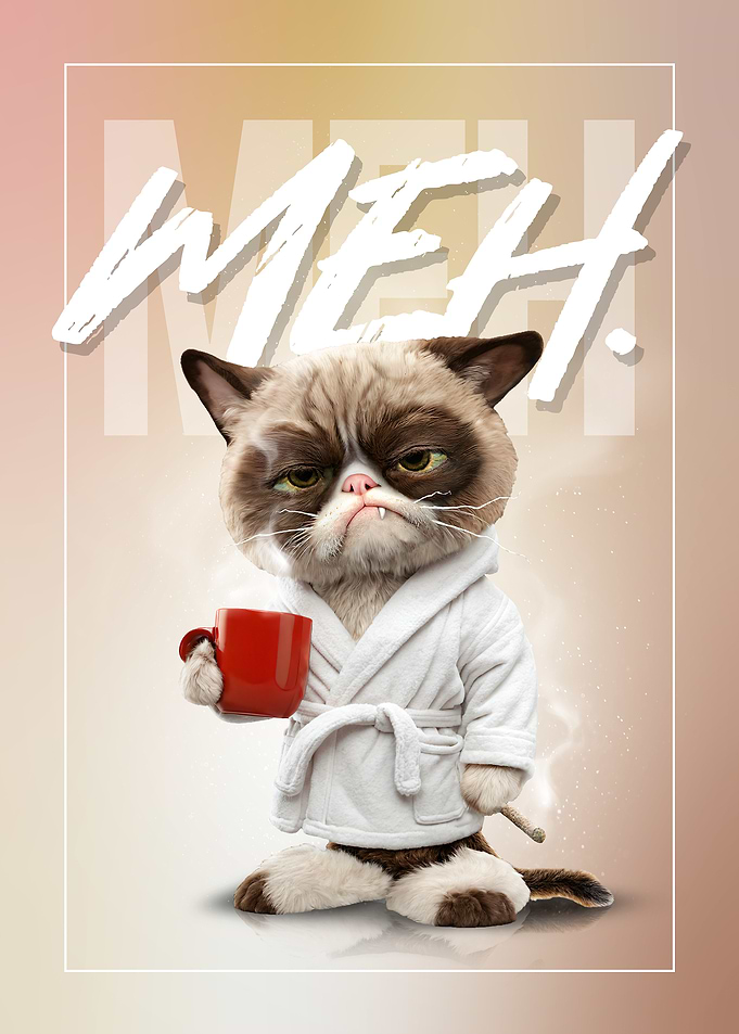 Grumpy Cat Meh.