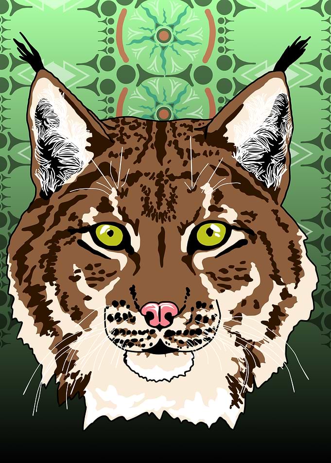 Lynx Portrait (brown)