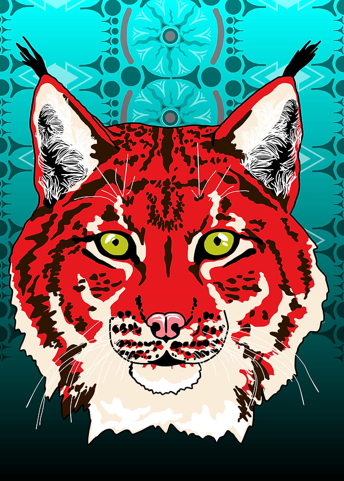 Red Lynx Portrait