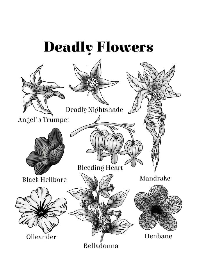 Deadly Flowers Illustration