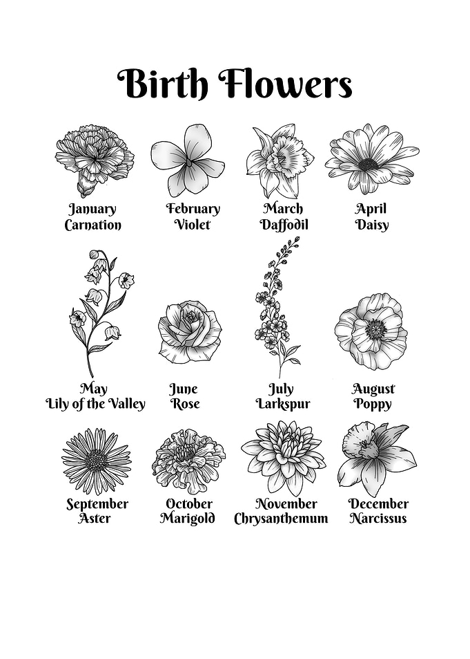 Birth Month Flowers