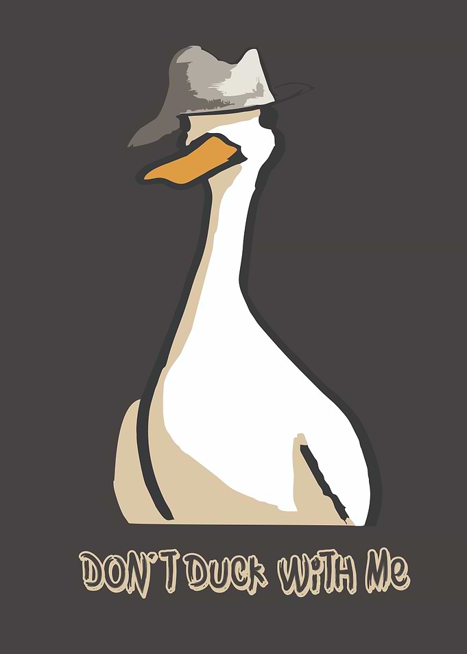 Duck with Hat