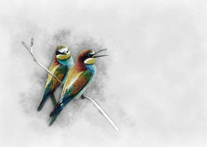Two Birds on Branch