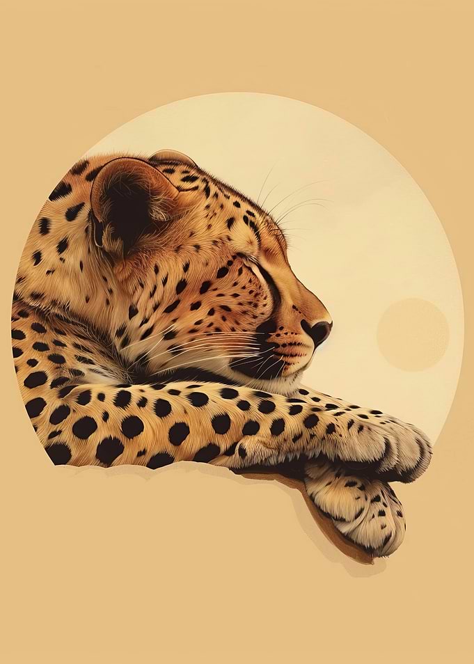 Sleeping Cheetah