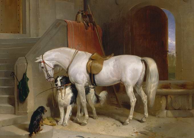 Horse and Dogs in Stable