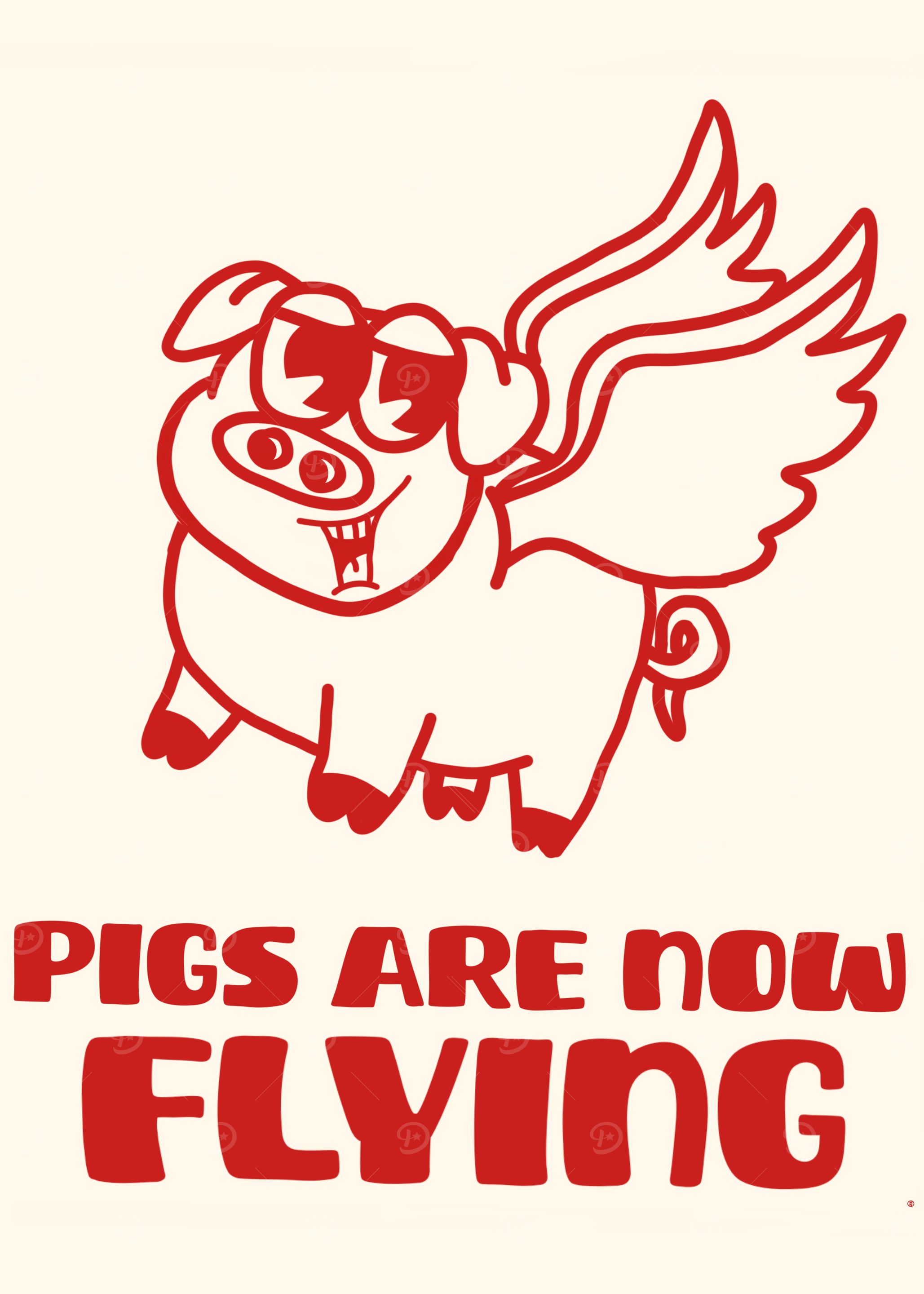 Flying Pig Rough Times Cartoon